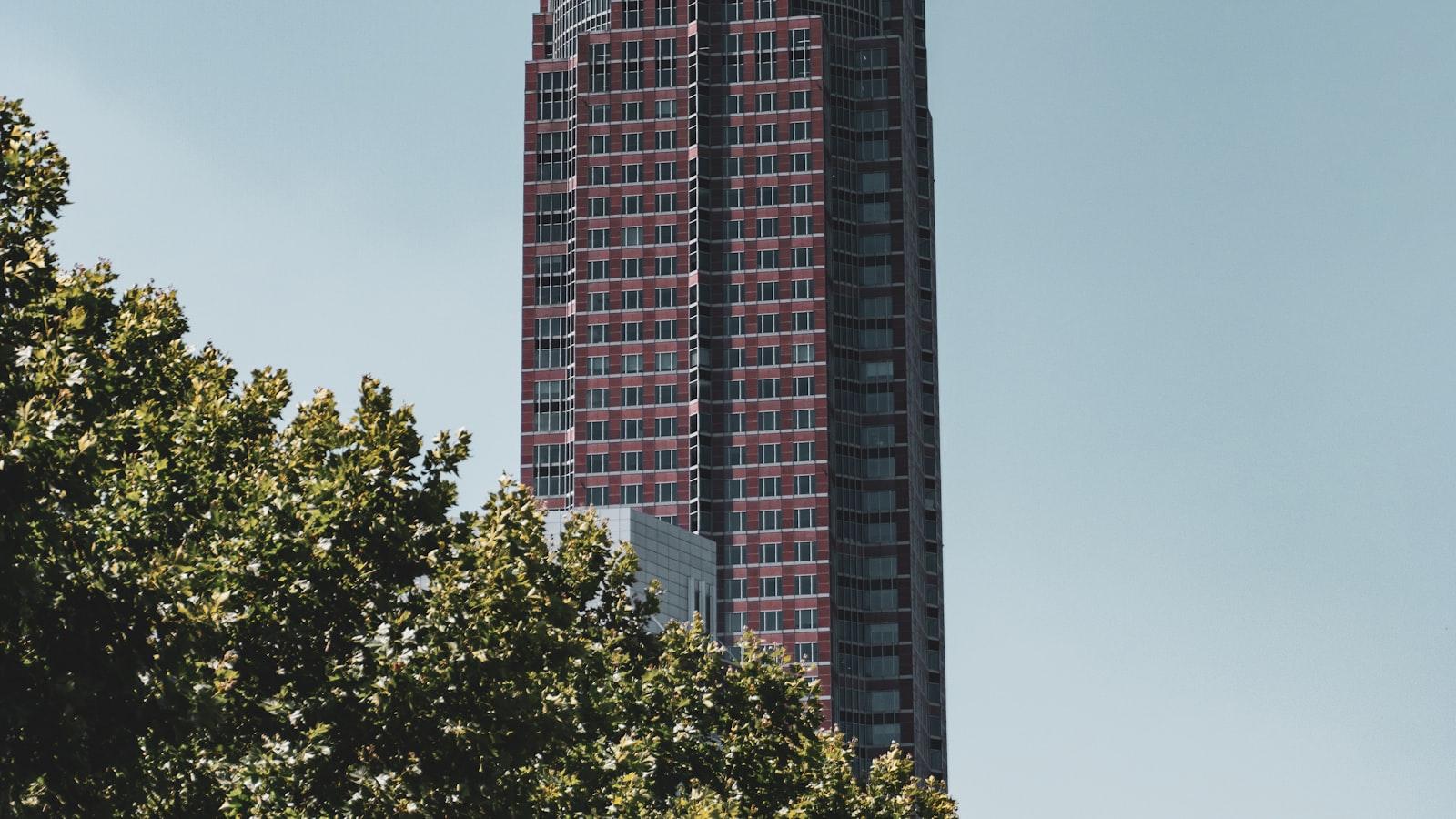 You are currently viewing Feasibility Study Services in Middle income