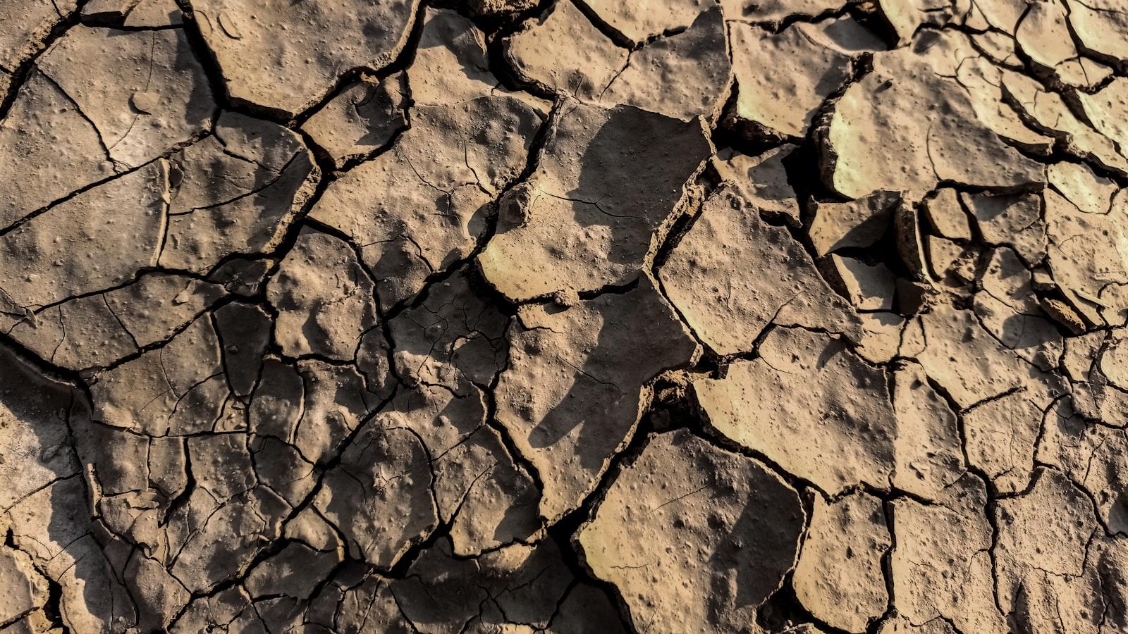 You are currently viewing Salary Survey Services in Indonesia