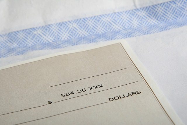 Efficient Payroll Processing Services in Netherlands: Streamline Your Business Operations