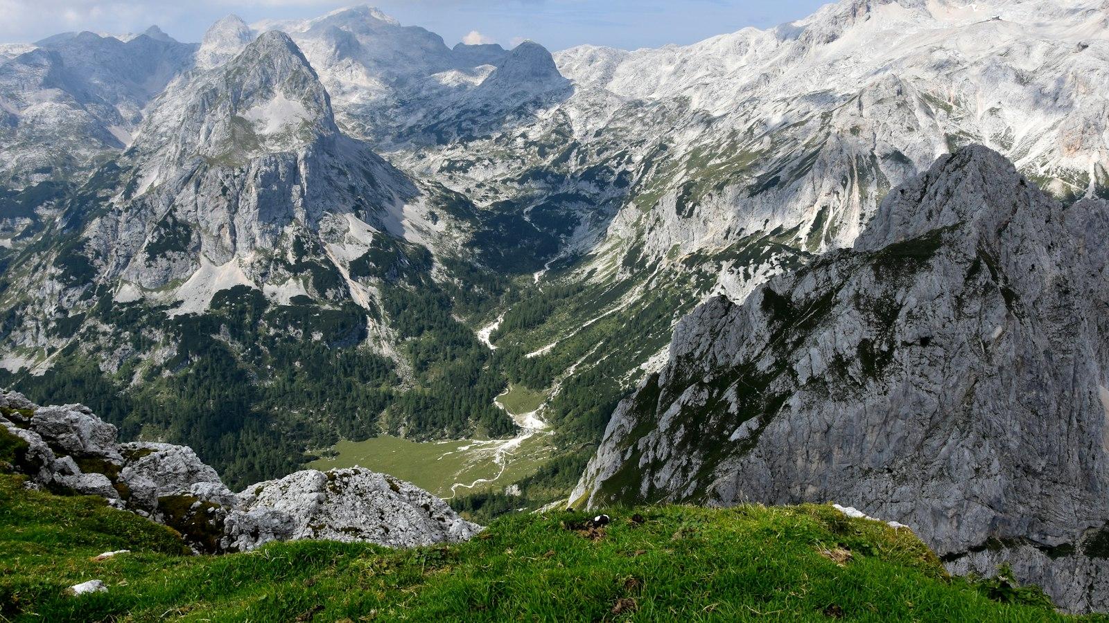 You are currently viewing Work Permit Processing Services in St. Kitts and Nevis