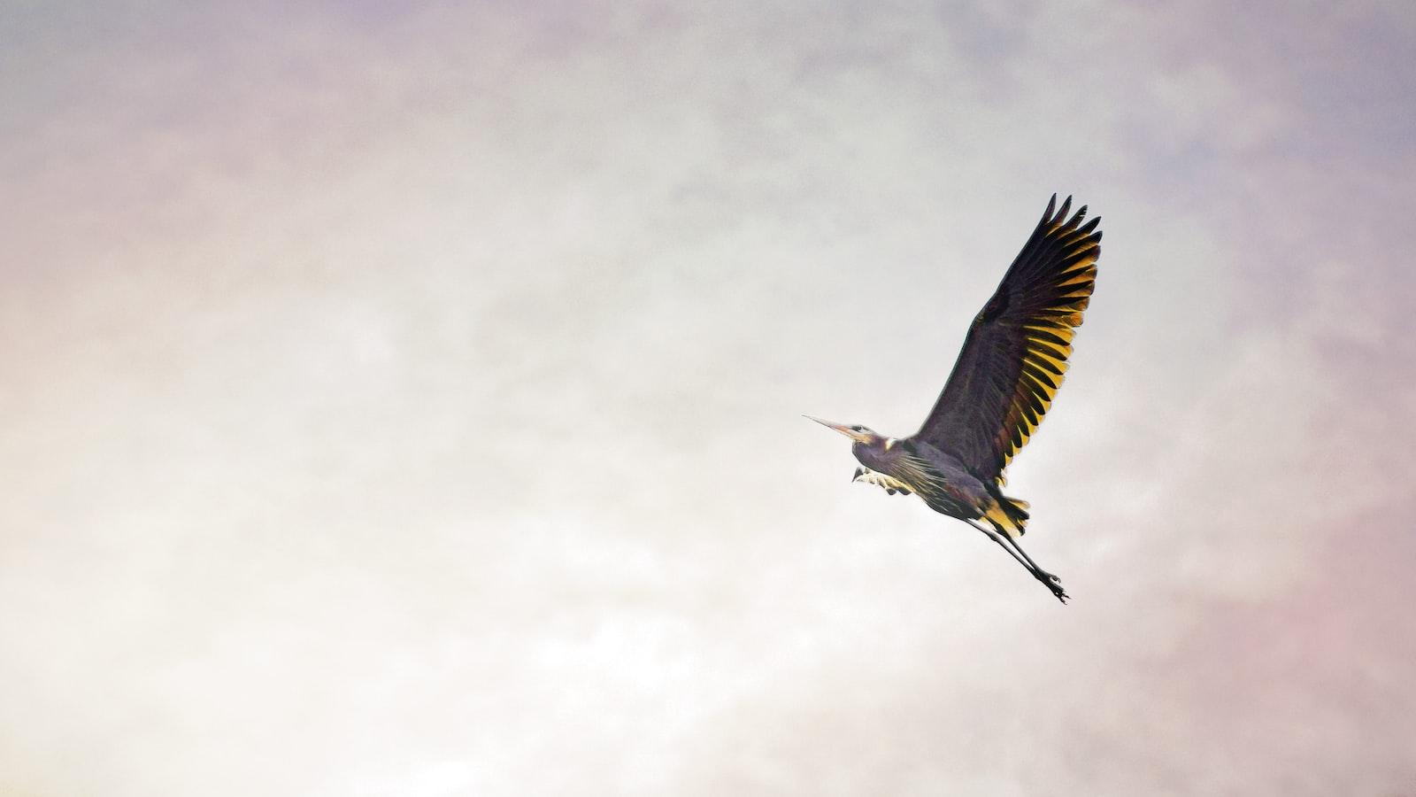 You are currently viewing Company Registration Services in Kazakhstan